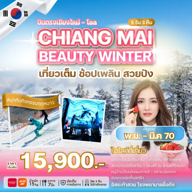 ภาพโปรแกรมทัวร์เกาหลีบินตรงเชียงใหม่ - โซล CHIANG MAI BEAUTY WINTER