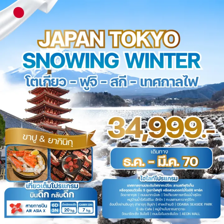 ภาพโปรแกรมทัวร์ญี่ปุ่น JAPAN TOKYO SNOWING WINTER