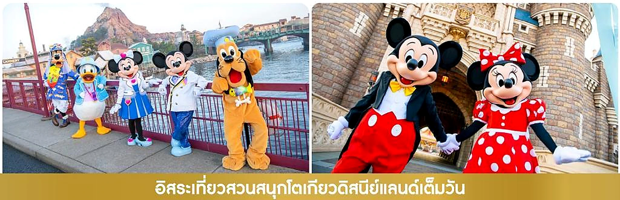 ภาพประกอบ เที่ยวสวนสนุกโตเกียวดิสนีย์แลนด์เต็มวัน ชมการแสดงดอกไม้ไฟ โปรแกรม ทัวร์ญี่ปุ่น JAPAN DISNEY STARS LIGHT UP TOKYO