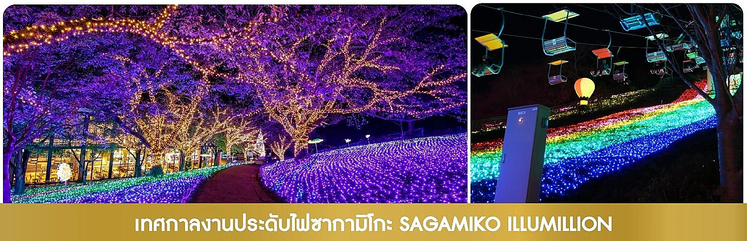 ภาพประกอบ ซากามิโกะ หรือ งานประดับไฟฤดูหนาวที่ยิ่งใหญ่ของญี่ปุ่น ที่จะพาเราตื่นตาตื่นใจไปกับสวนที่ โปรแกรม ทัวร์ญี่ปุ่น JAPAN TOKYO SNOWING WINTER