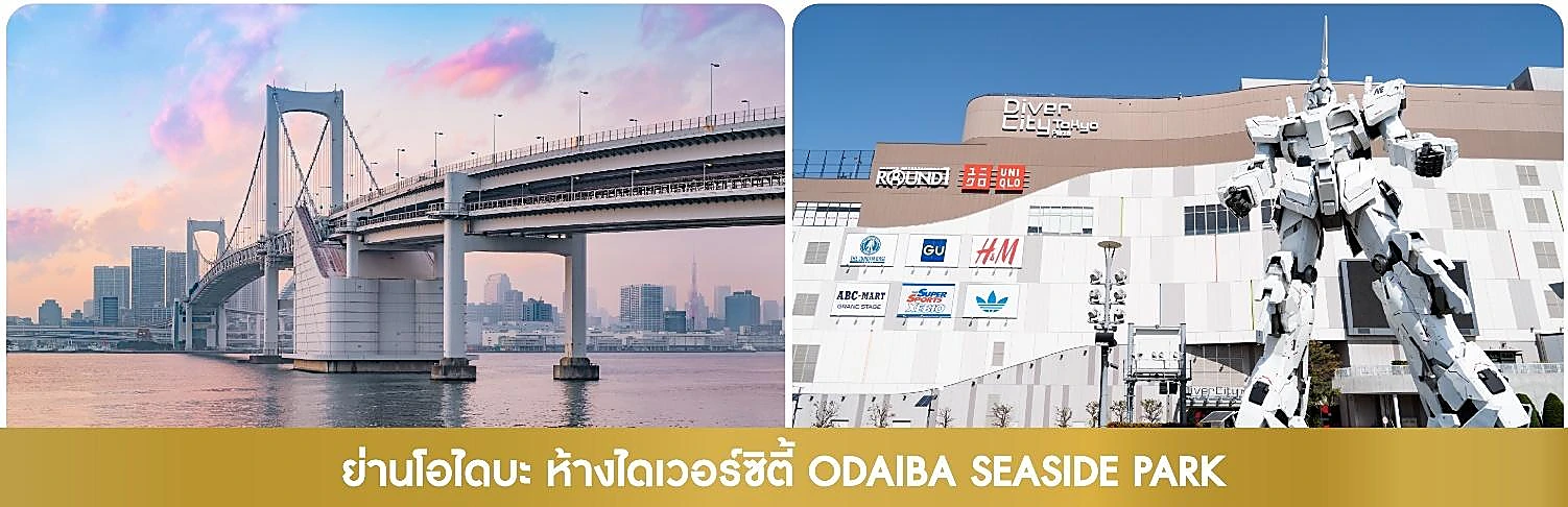 ภาพประกอบ มื้อกลางวัน : บริการท่านด้วย เมนูทงคัตสึ โปรแกรม ทัวร์ญี่ปุ่น JAPAN TOKYO SNOWING WINTER