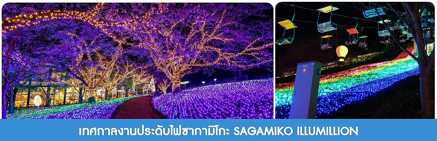 ภาพประกอบ ซากามิโกะ หรือ งานประดับไฟฤดูหนาวที่ยิ่งใหญ่ของญี่ปุ่น ที่จะพาเราตื่นตาตื่นใจไปกับสวนที่ โปรแกรม ทัวร์ญี่ปุ่น TOKYO WINTER FREEDOM