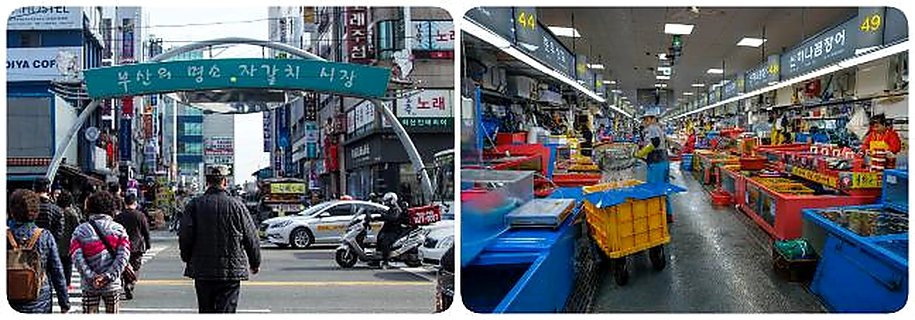 ภาพประกอบ ตลาดอาหารทะเลจากัลชี ตลาดอาหารทะเลที่ใหญ่ที่สุดในเกาหลีใต้ จำหน่ายทั้งอาหารทะเลสดและแห้ง เป็น โปรแกรม ทัวร์เกาหลี BUSAN WINTER BREEZE