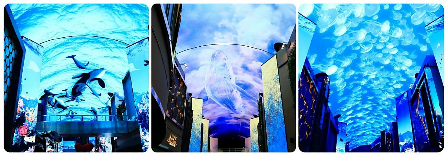 ภาพประกอบ อควาเรียมมีเดียอาร์ต โปรแกรม ทัวร์เกาหลี KOREA BEAUTY WINTER