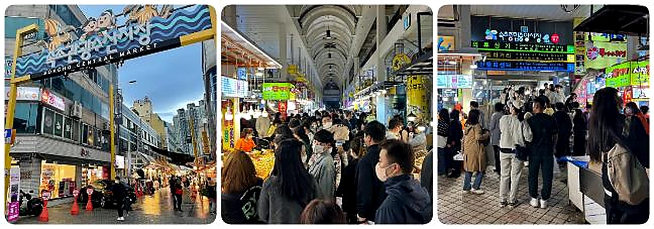 ภาพประกอบ ซกโชไนท์มาร์เก็ต ตลาดปลา หรือตลาดกลางแห่งซกโช ถือเป็นสถานที่ท่องเที่ยวที่สำคัญในซกโช ด้วยเหตุว่ามีทุก โปรแกรม ทัวร์เกาหลี SEORAK AUTUMN SOUL
