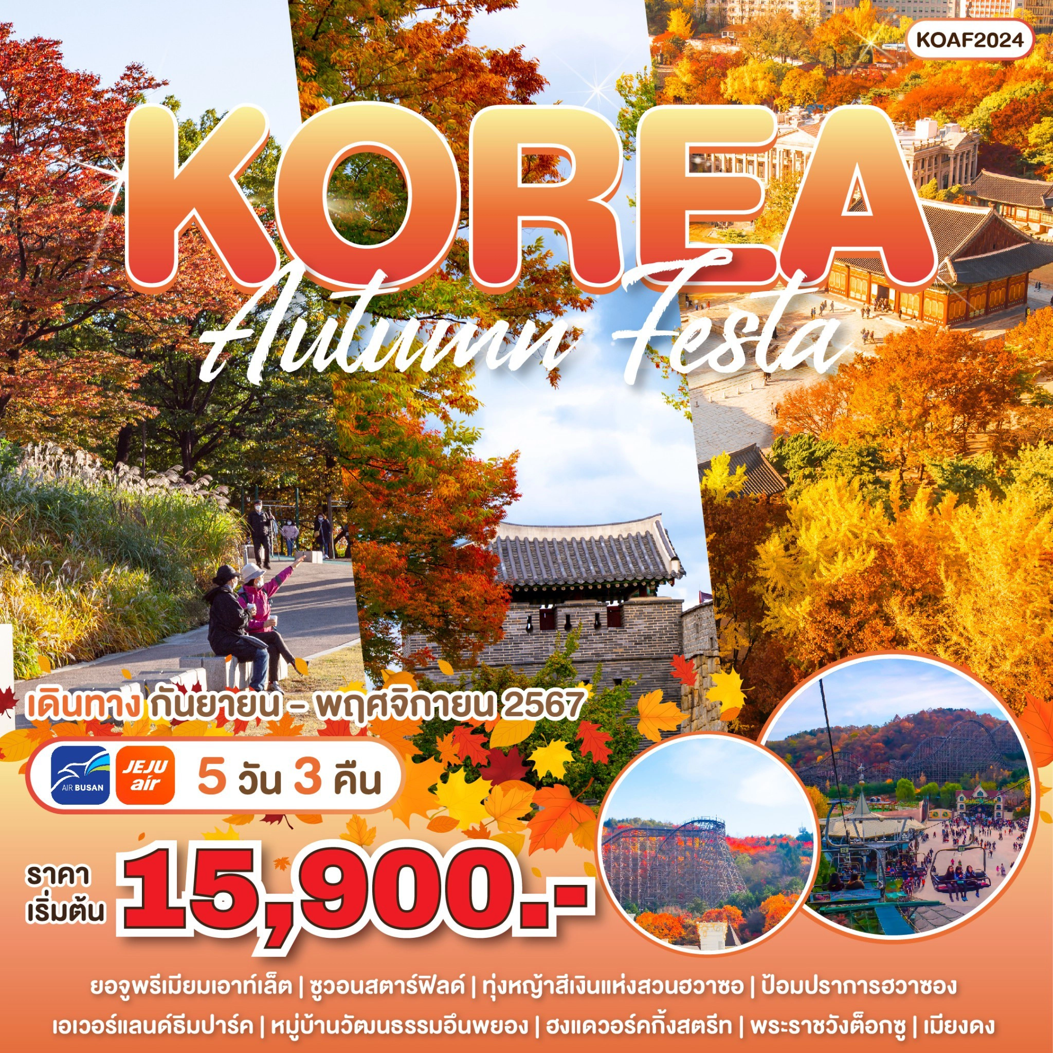ทัวร์เกาหลี korea tour autumn festa