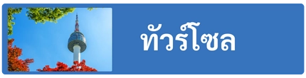 โปรแกรมทัวร์โซล