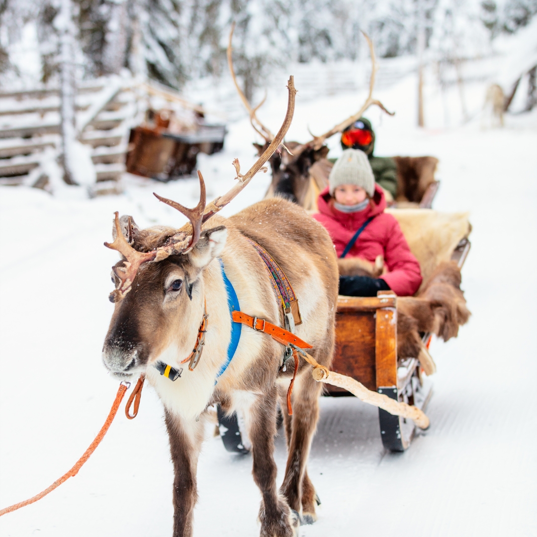 แลปแลนด์