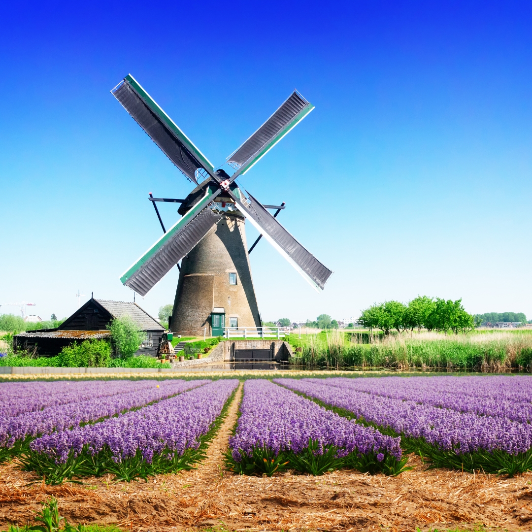 เที่ยวเนเธอร์แลนด์