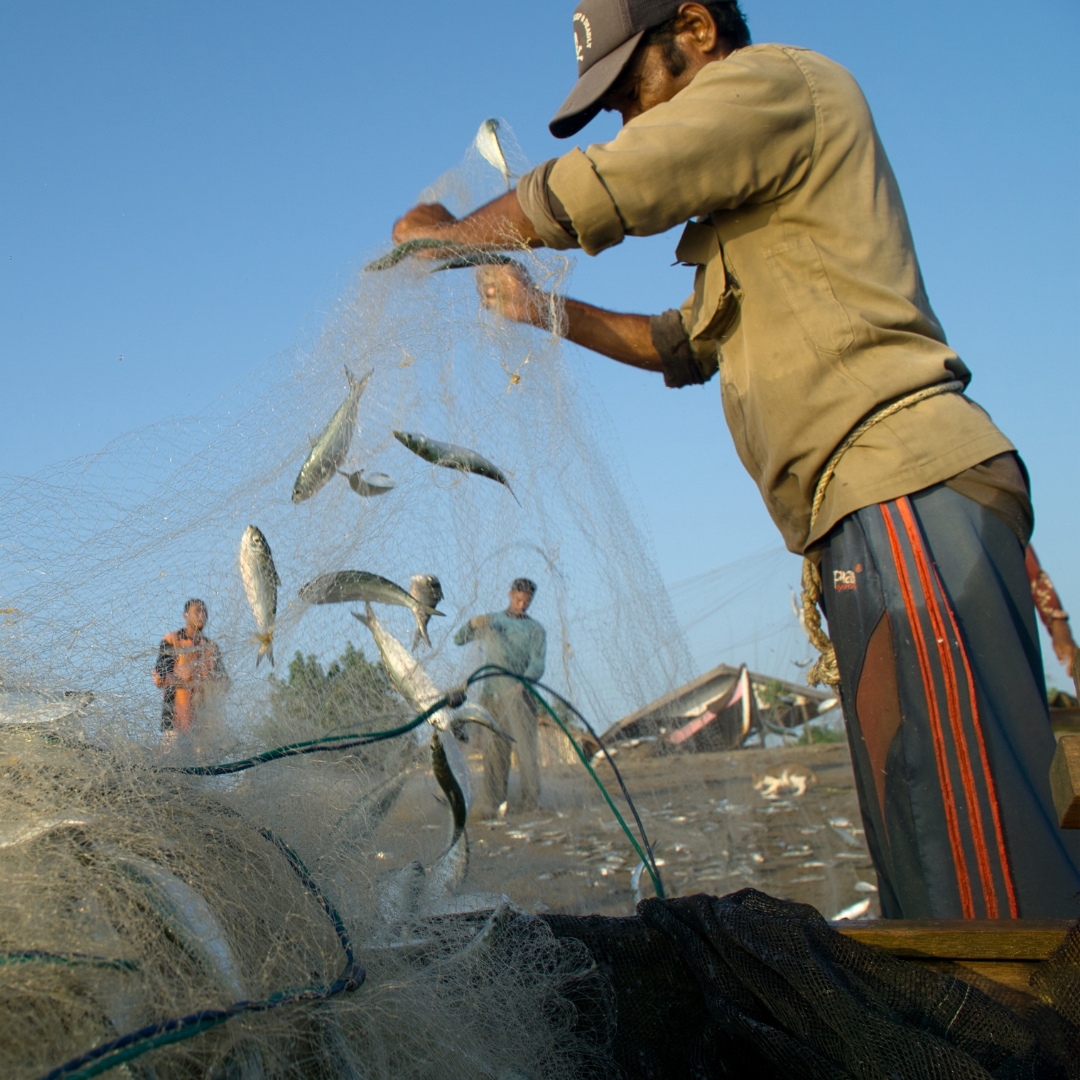 สัมผัสวิถีชีวิตท้องถิ่น