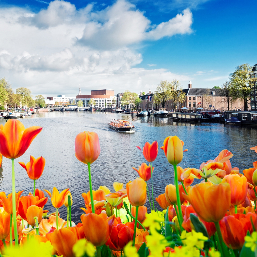 ทัวร์เนเธอร์แลนด์
