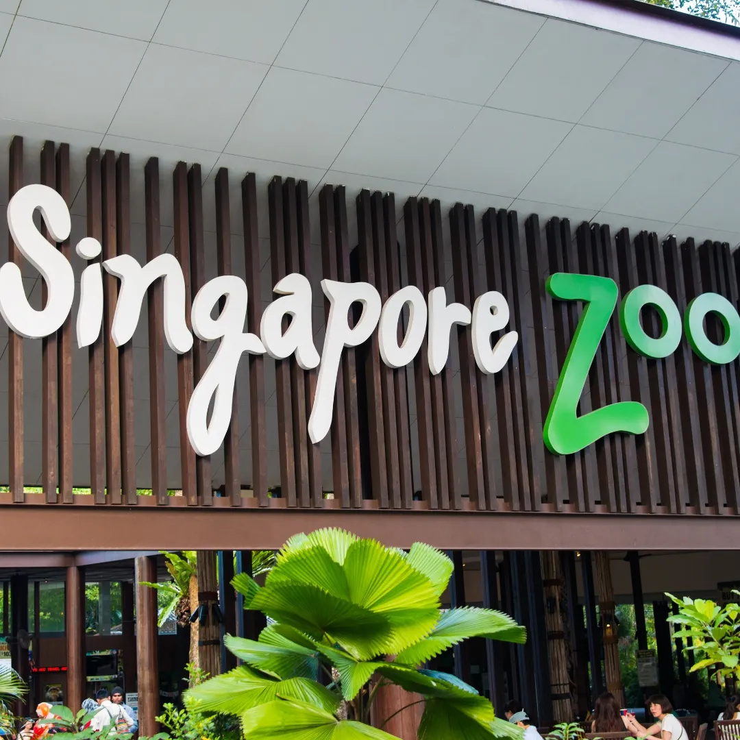 สวนสัตว์สิงคโปร์