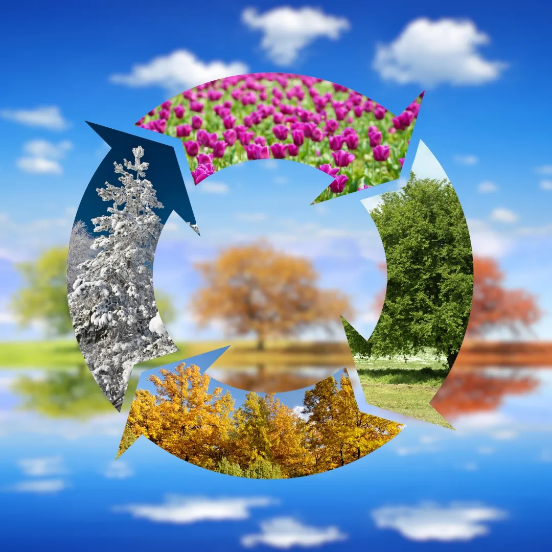 เลือกฤดูกาลที่เหมาะกับคุณ
