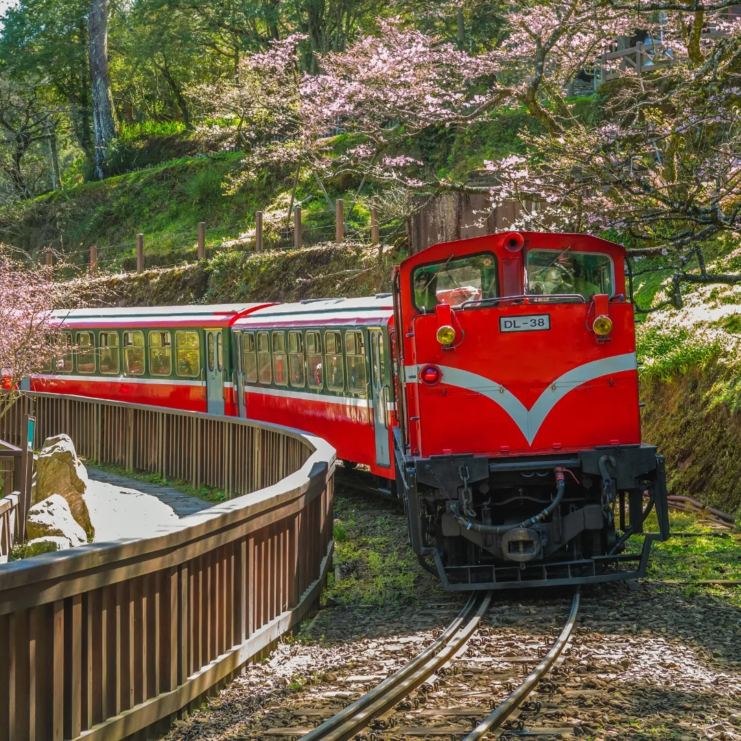 ทัวร์ไต้หวันฤดูใบไม้ผลิ