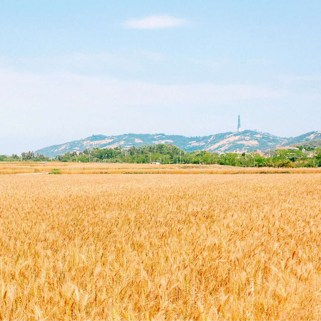 ทัวร์ไต้หวันฤดูร้อน