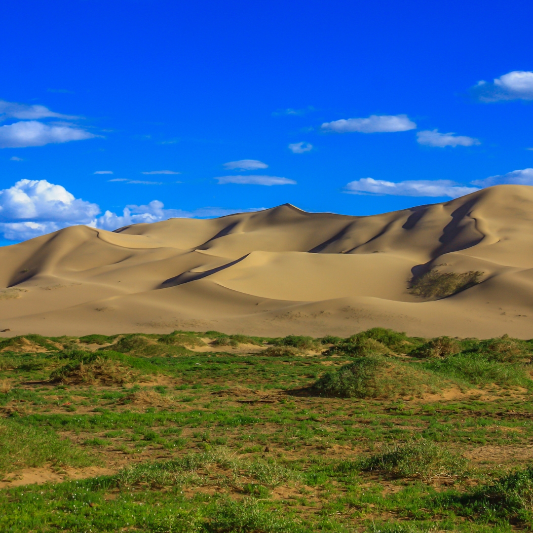 ทะเลทรายโกบี