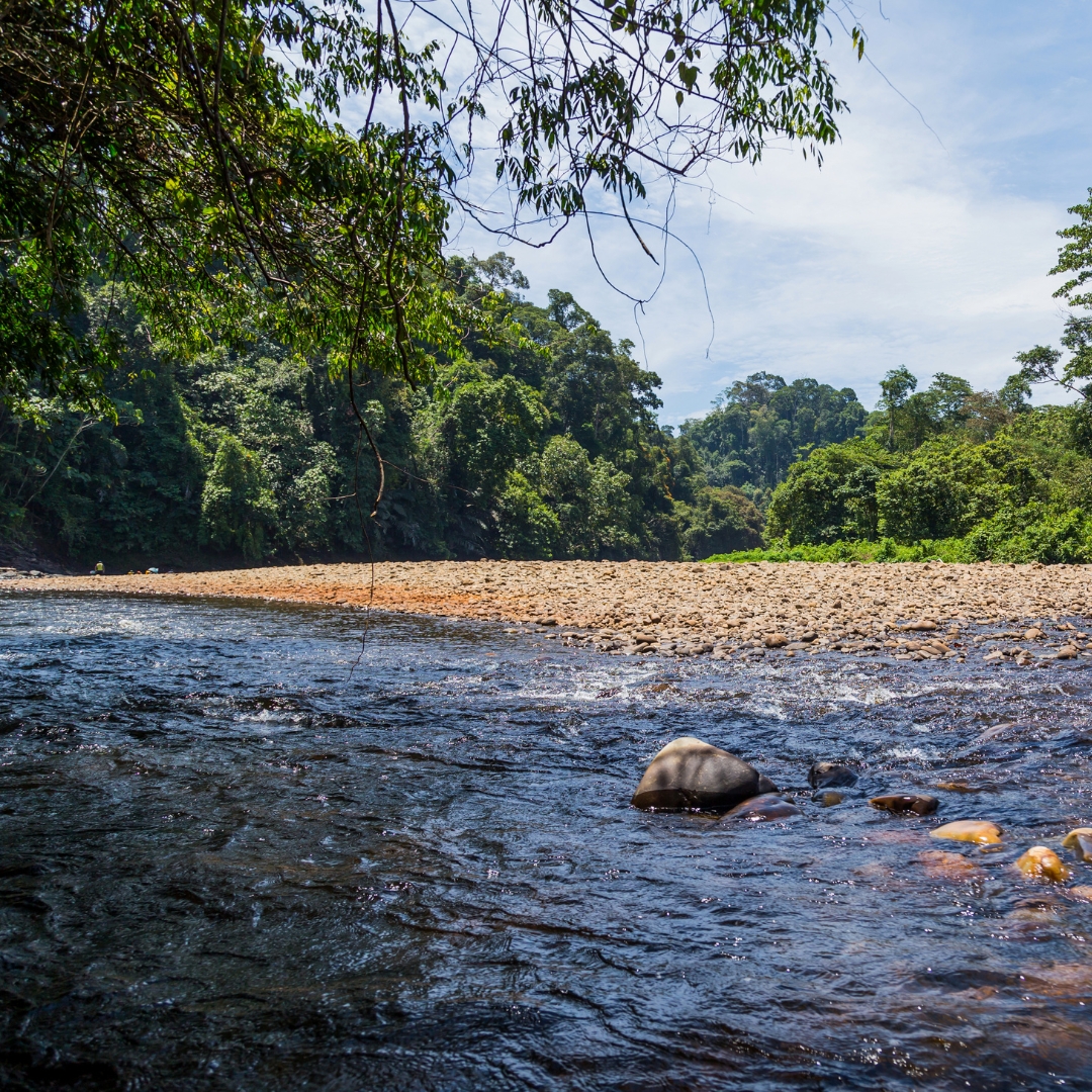 อุทยานแห่งชาติอูลูเทมบูรง