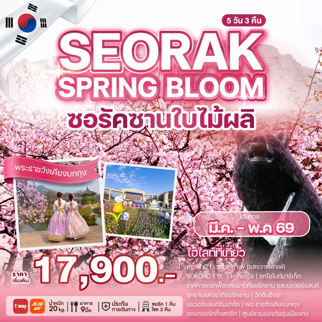 ทัวร์เกาหลี SEORAK SPRING BLOOM